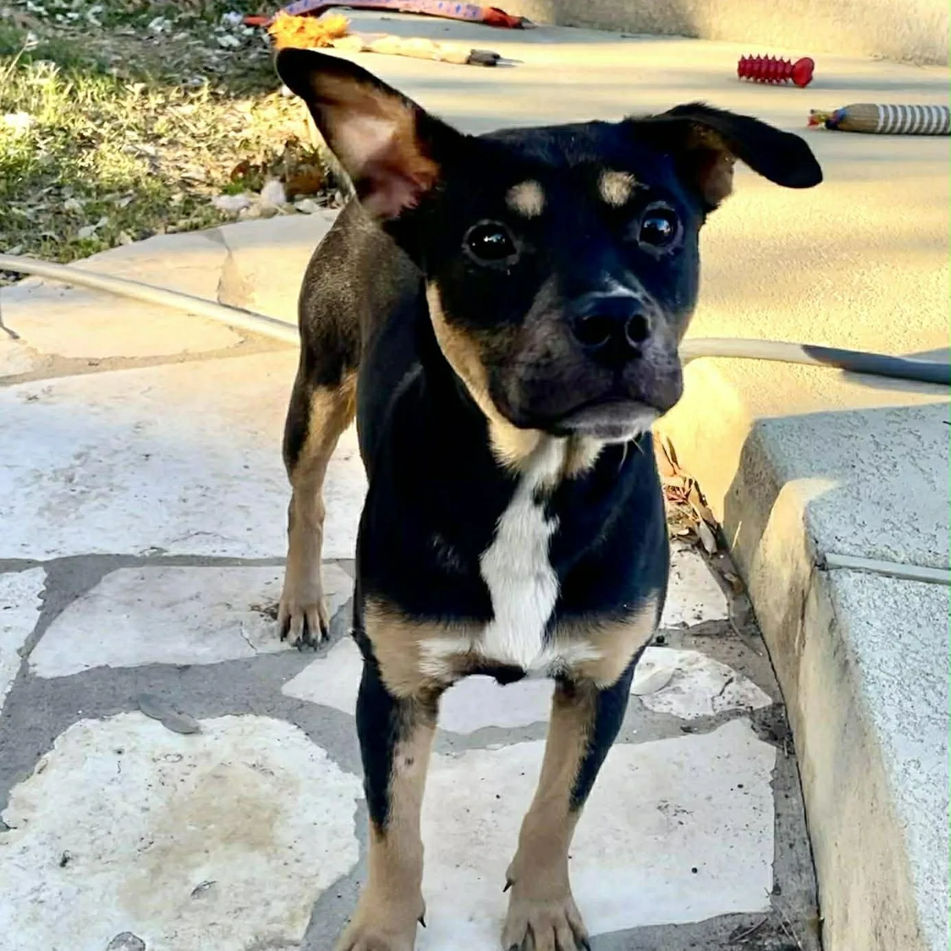 Athena