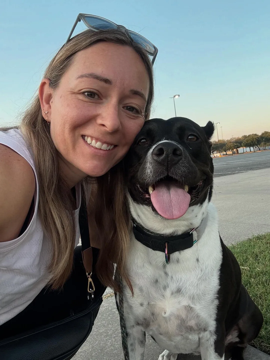 A foster volunteer shares a moment with a happy black-and-white rescue dog at dusk